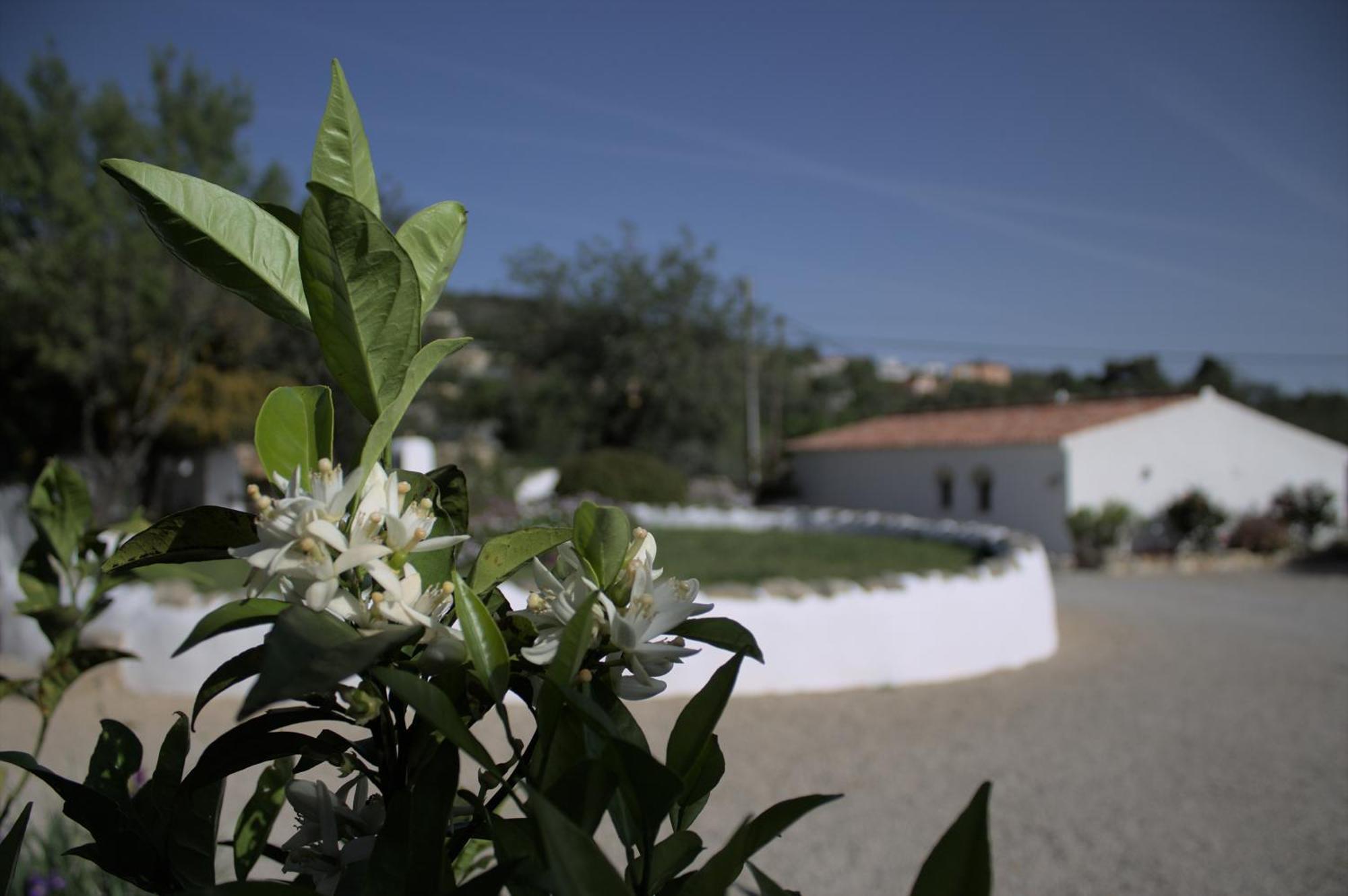 Swimming Pool Quinta Da Eira 140 Years Old Apartment *